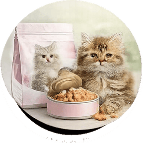 Kitten Food