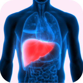 Liver Care Medicines