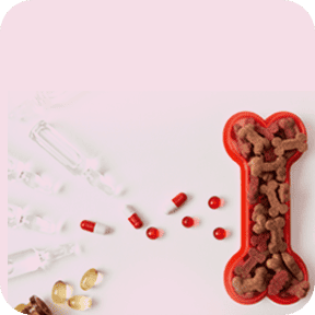 Pet Supplements