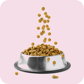 Pet Food