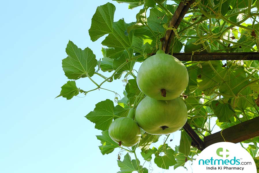 tinda tree