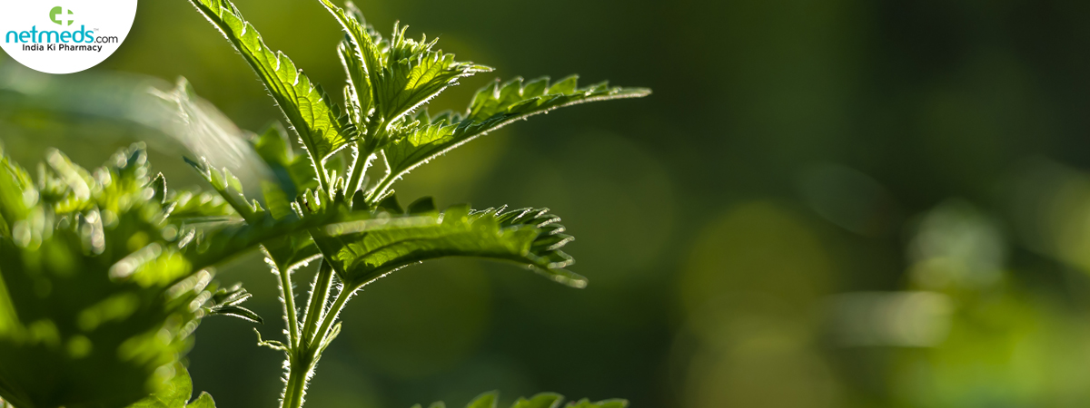 growing-green-plants_1200x450