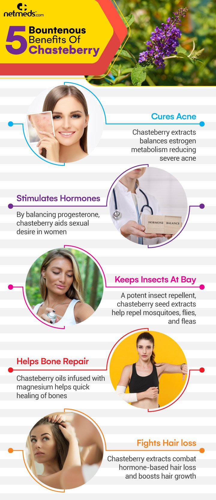 Main Infographic Image