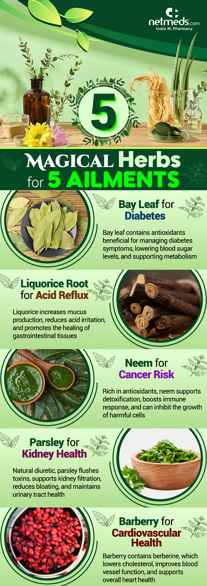 5-Magical-Herbs-For-5-Ailments