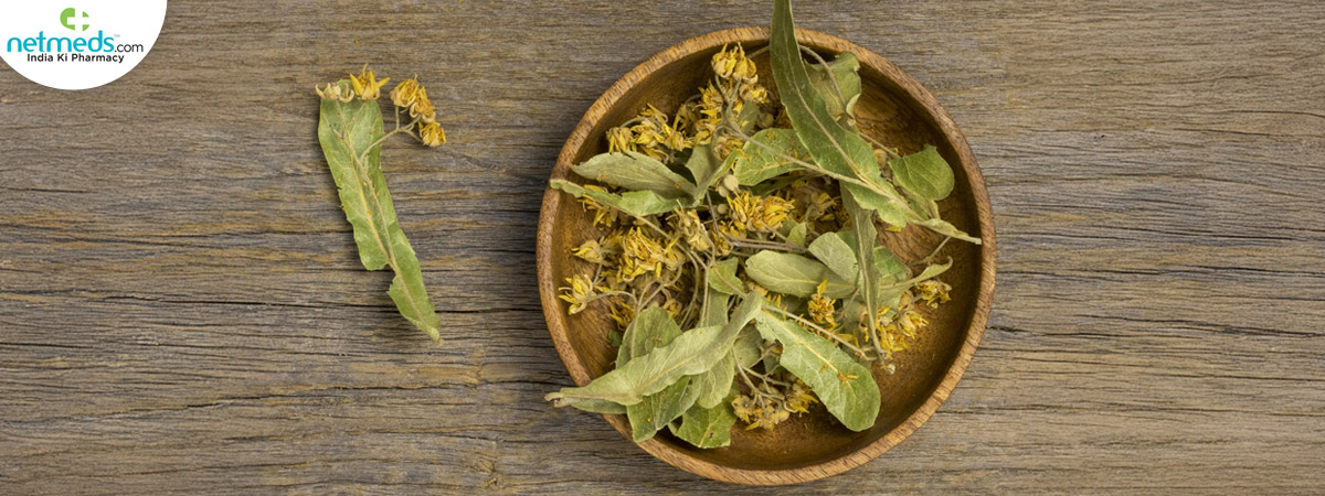 medicinal-spices-herbs_1200x450