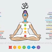 Kundalini Yoga: Know How To Awaken The Chakras Of The Body