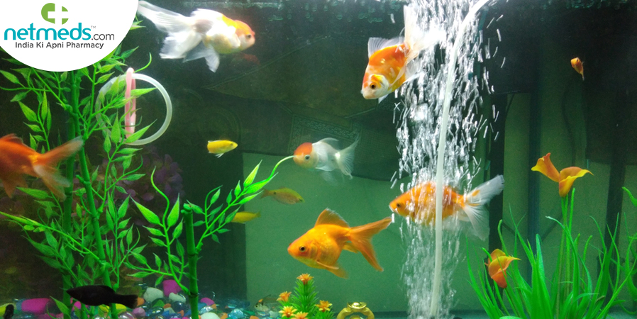 Aquarium