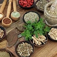 5 Herbs For A Healthy Digestive System