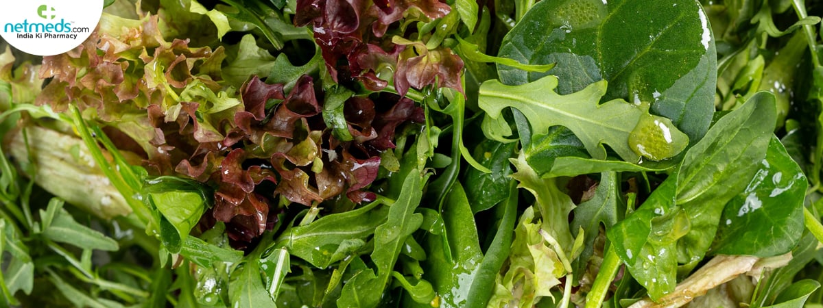 fresh-leafy_1200x450