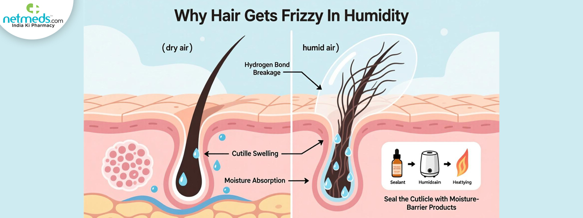 frizzy-hair-big-1_1200x450