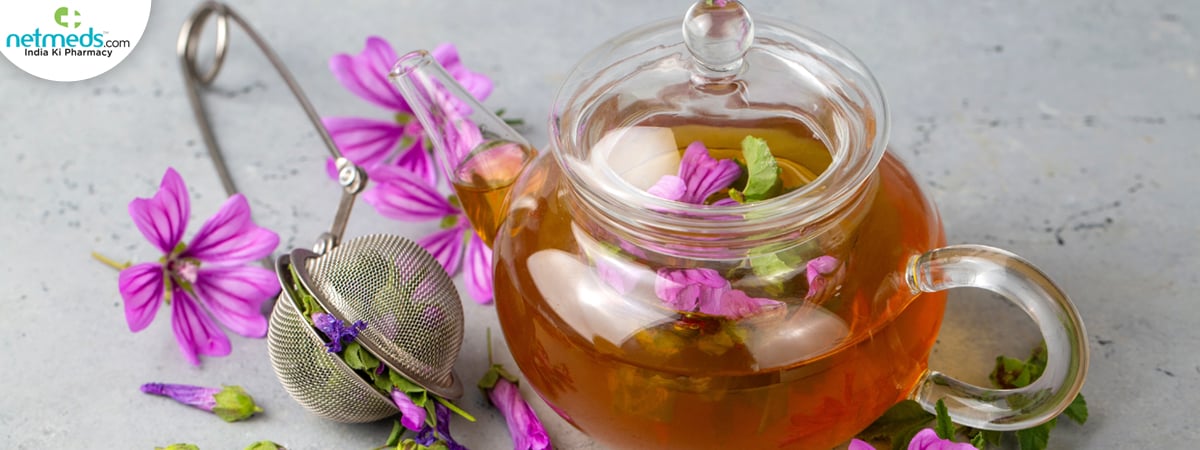 malva-vulgaris_1200x450