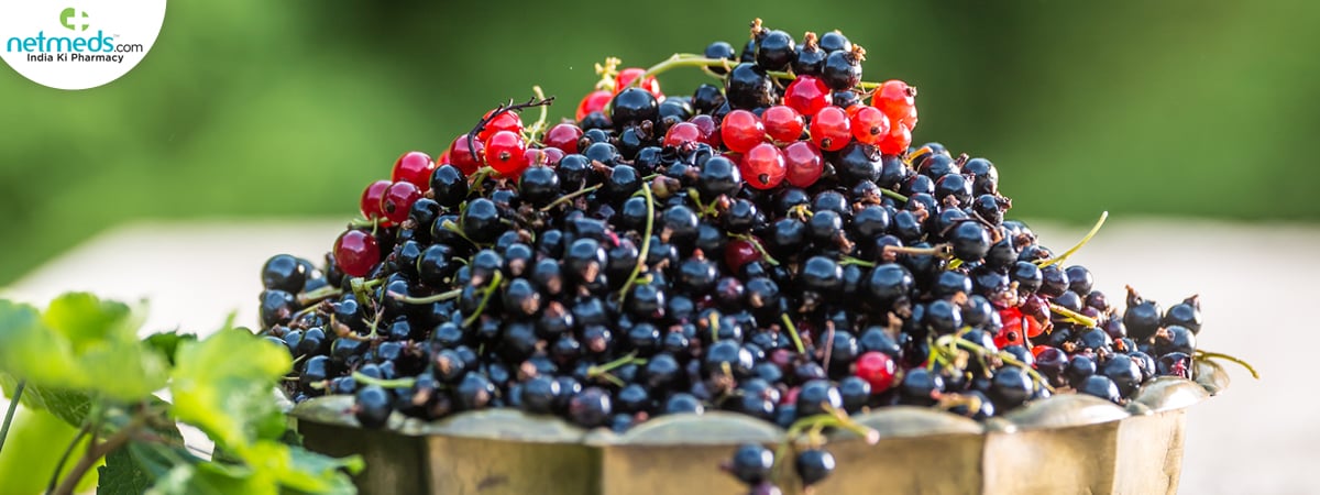 black-red-currant_1200x450