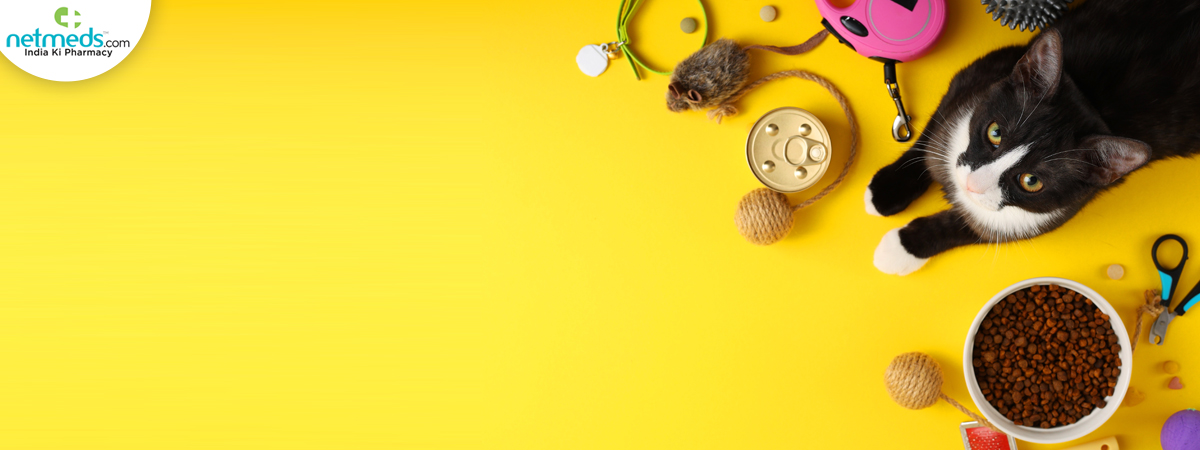 accessories_1200x450