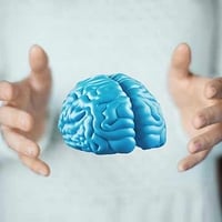 Are You A Brave Person? Thank Your Brain Cells!