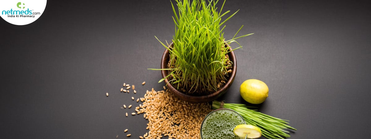 wheatgrass-big-3_1200x450