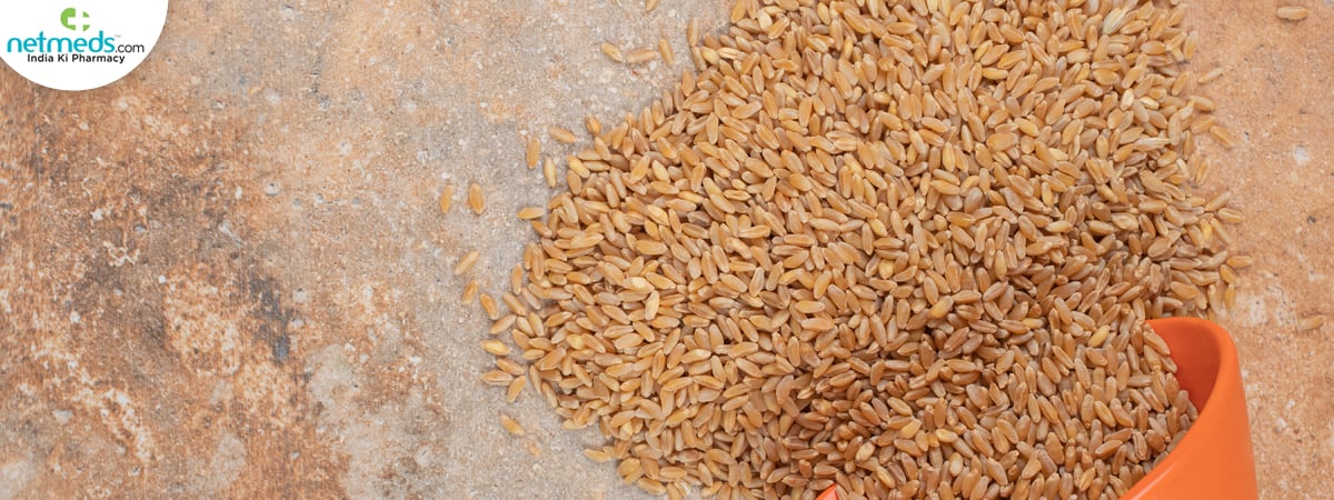 bunch-barley_1200x450