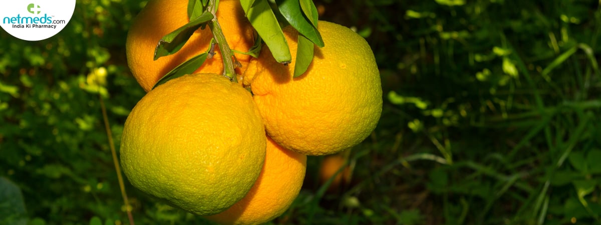 Hill Lemon