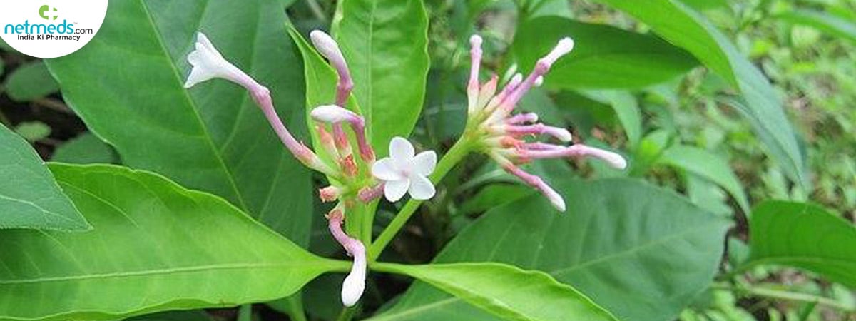 sarpagandha-big-1_1200x450