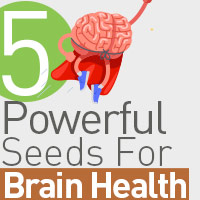 Brain Health: 5 Must-To-Add Seeds For Better Cognitive Power And Memory-Infographic