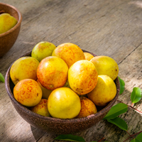 Mangaba: Health Benefits, Uses And Side Effects Of This Fruit