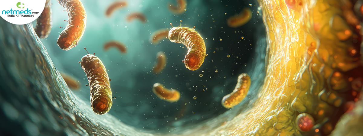 intestinal-parasites-microscope_1200x450