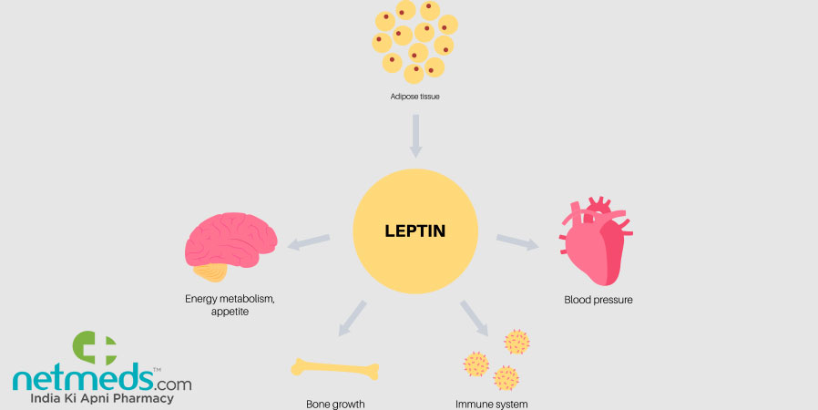 Leptin