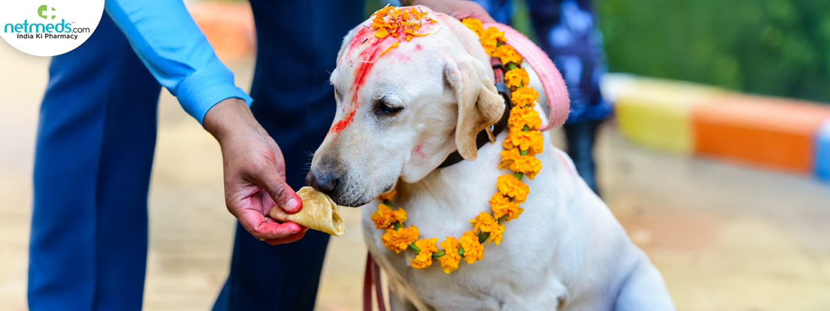 kukur-tihar-festival_1200x450