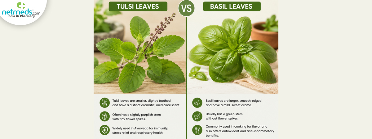 Tulsi_1200x450