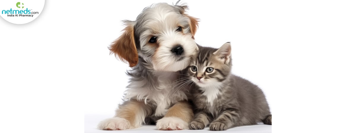 affectionate_1200x450