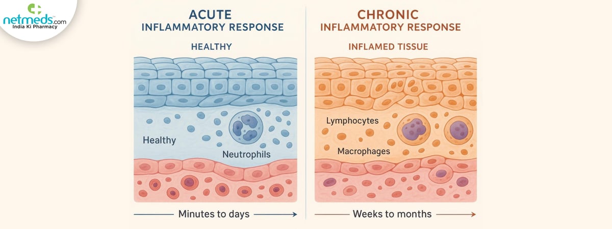 silent-inflammation-big-3_1200x450