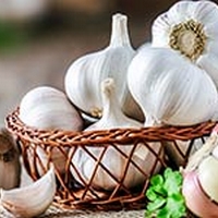 Eating Garlic, Onions Daily May Ward Off Colon Cancer Risk