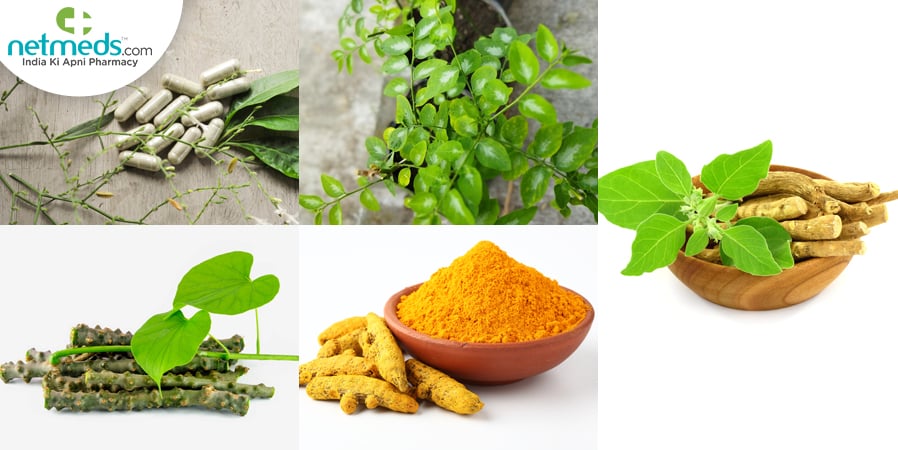 herb for liver