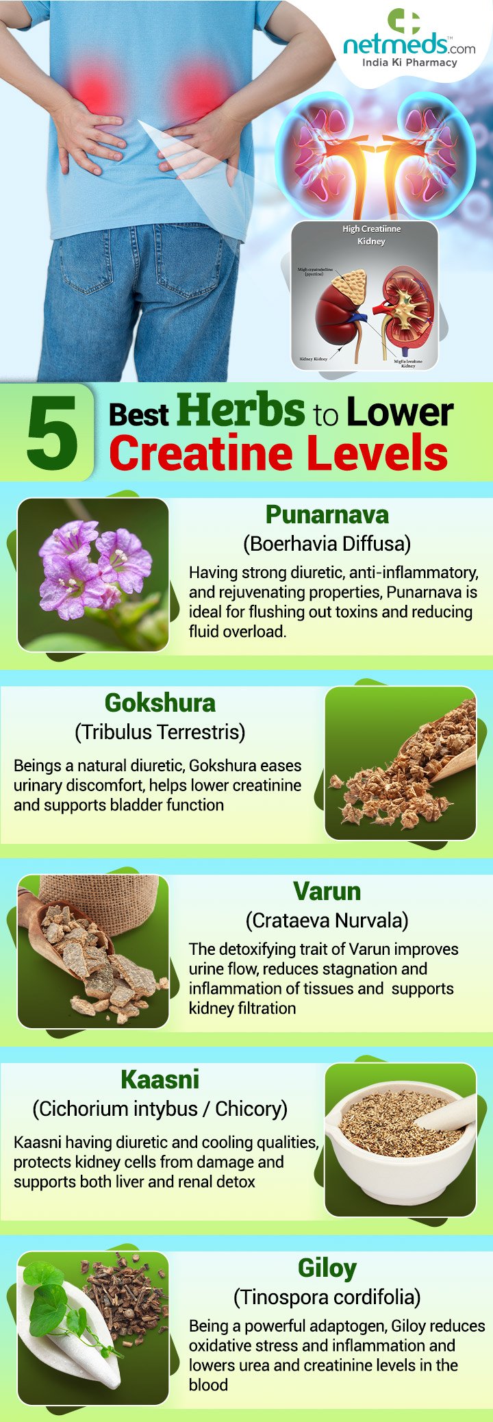 high creatinine levels
