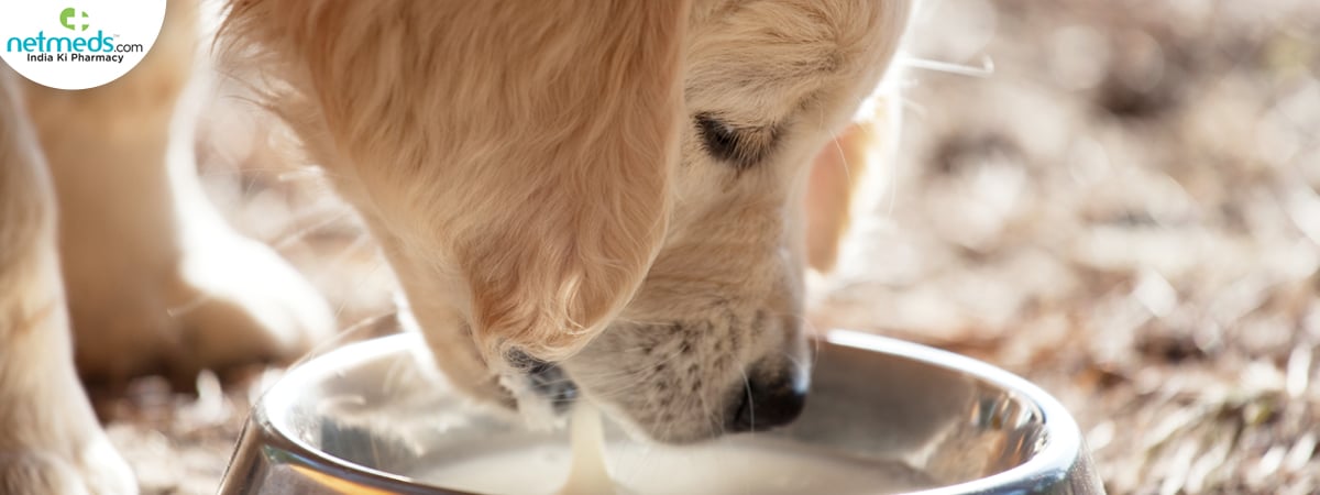 drinking-milk_1200x450