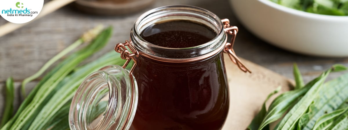 ribwort-plantain_1200x450