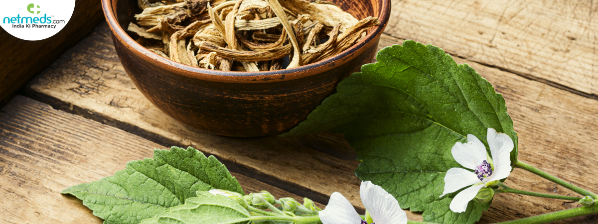 Giloy-And-Tulsi_1200x450