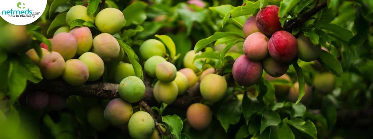 organic plum