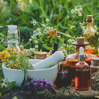 What Are Flower Essences?  Unravel Benefits, Uses And Side Effects