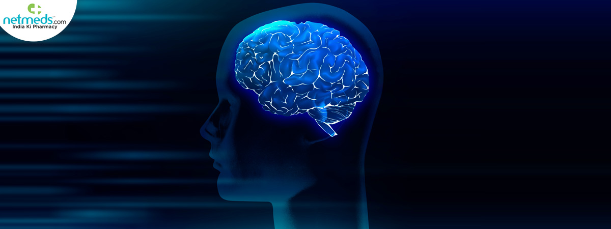 human-brain_1200x450