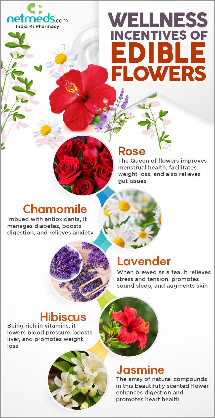 infographic