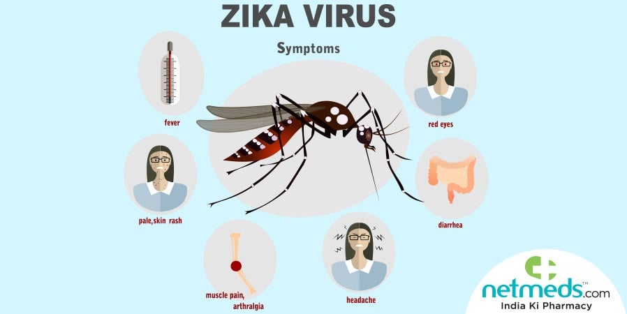 Causes And Symptoms Of Zika Virus Disease