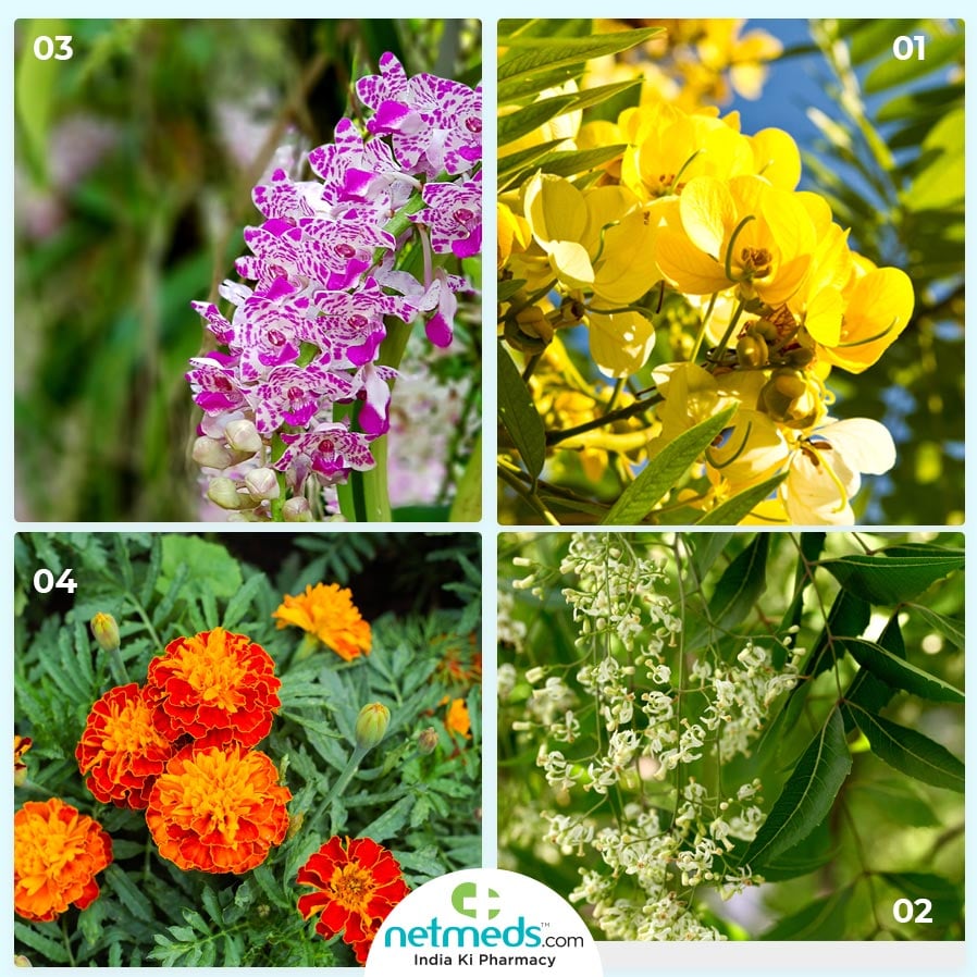 Festival season flowers
