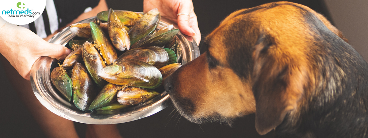 sniffing-dog_1200x450