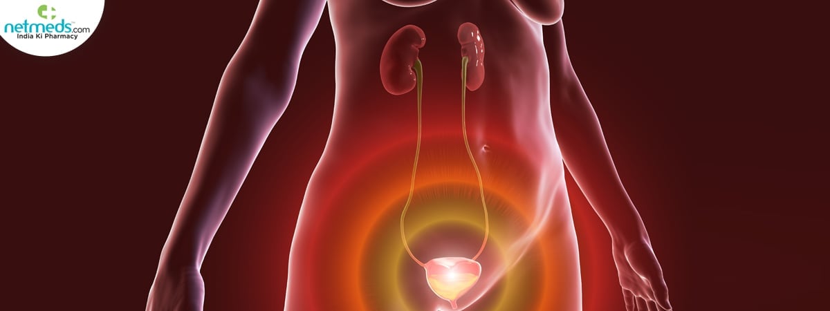 bladder 2