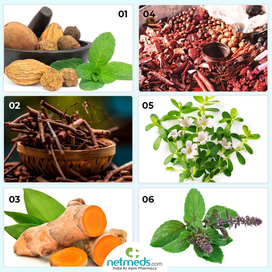 Herbs for winter