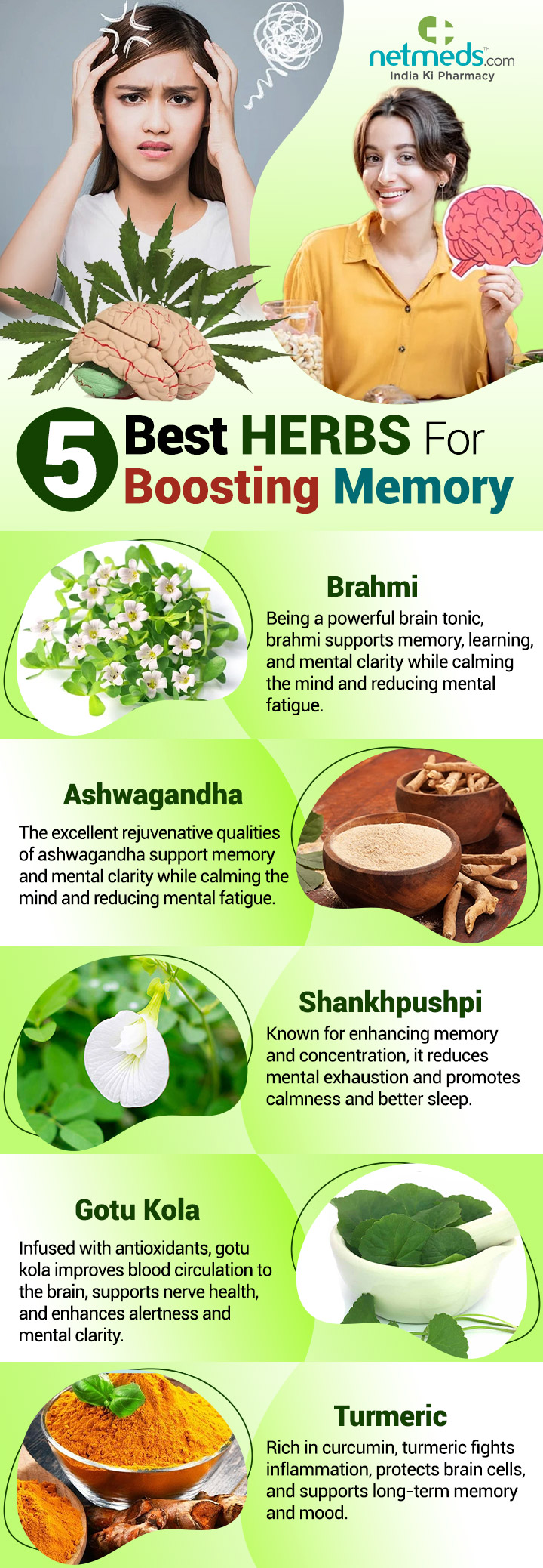 5-Best-Herbs-For-Boosting-Memory