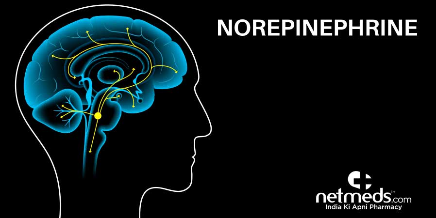 Norepinephrine