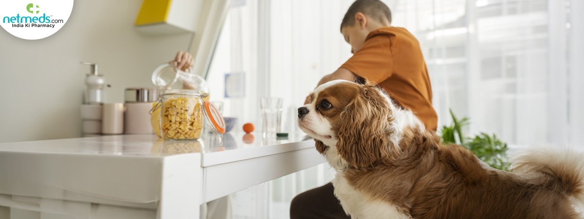 having-breakfast_1200x450 (1)