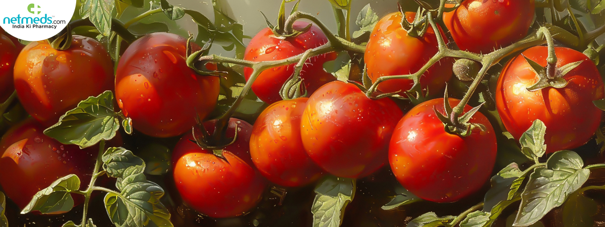 tomatoes-growing-garden_1200x450 (1)