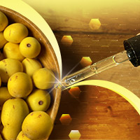 Marula Oil: 5 Benefits of This Aromatic Oil for Skin Health- Infographic